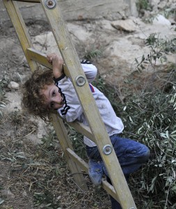 Nisham tries to climb the ladder. Photo by ELLEN DAVIDSON