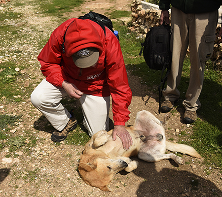 Ken befriends Lucky, one of the family dogs. PHOTO: ELLEN DAVIDSON