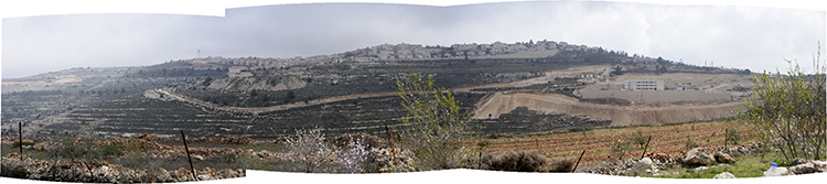 The hilltops surrounding the Tent of Nations farm are all covered by Israeli settlements. PHOTO: ELLEN DAVIDSON